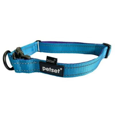 Petset Dog Collar Active Adjustable Blue and Purple Small