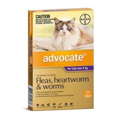 Advocate Large Over 4kg Purple 6 pack