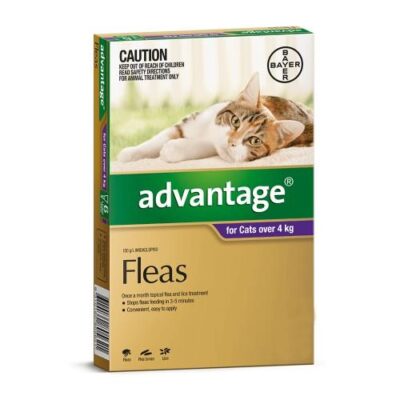 Advantage Large Over 4kg Purple 6 pack