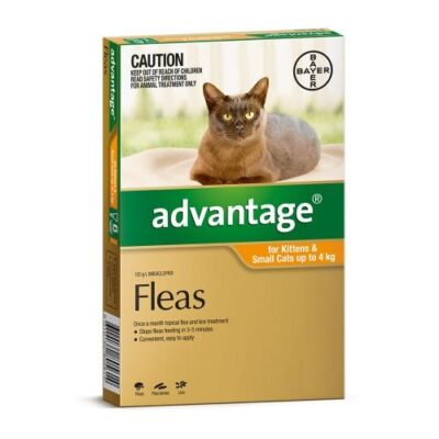Advantage Kitten and Small Under 4kg Orange 4 pack