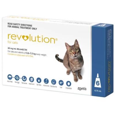 Revolution Blue 6 pack