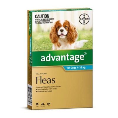 Advantage Medium 4-10kg Teal 4 pack