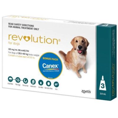 Revolution Teal Large 20-40kg 3 pack