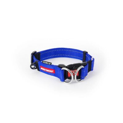 EzyDog Double Up Collar Small Blue