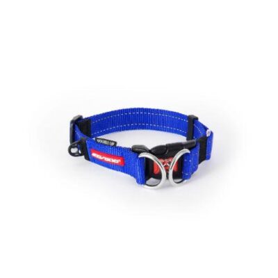 EzyDog Double Up Collar Medium Blue
