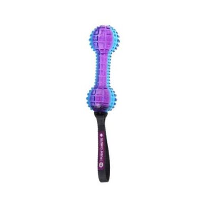 GiGwi Push to Mute Dumbbell Purple/Blue