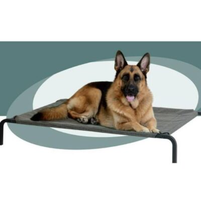 Cara Pet Elevated Trampoline Pet Bed Large