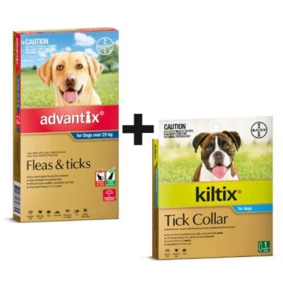 Advantix and Kiltix Bundle for Extra Large over 25kg Blue / Grey  6...